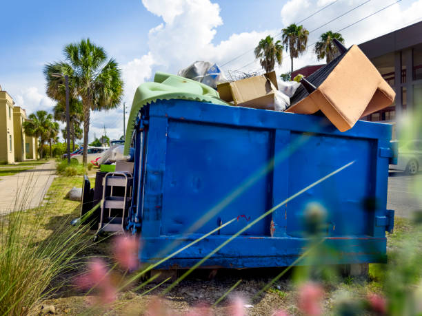 Best Shed Removal  in USA